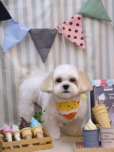 20250517ふくくん